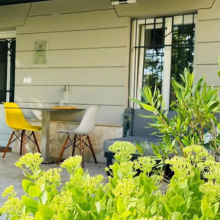 Garden View *
